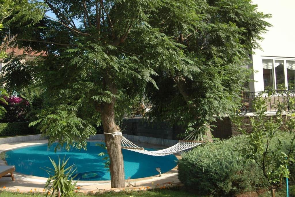 Villa Sophia Marmaris Extérieur photo